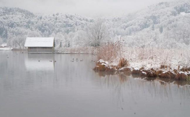 Kochelsee